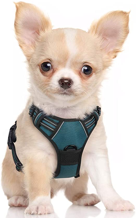 Rabbitgoo Dog Harness, No-Pull Pet Harness with 2 Leash Clips, Adjustable Soft Padded Dog Vest, Reflective No-Choke Pet Oxford Vest W/ Easy Control Handle for Large Dogs, Teal(S, Chest 15.7-27.6 In)