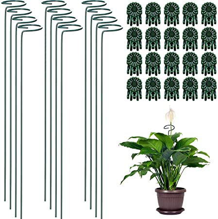 Hotop 12 Pieces Plant Support Stakes, 40 cm/ 15.9 Inch Single Stem Plant Support with 20 Pieces Phalaenopsis Gardening Clip Vine Fixing Clip for Small Plant Flower (Dark Green)