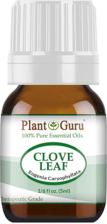 Clove Leaf Essential Oil 5 ml 100% Pure Undiluted Therapeutic Grade. Sample Size