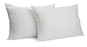 Gel Fiber Queen Pillow 2 Pack - Hypoallergenic, Extra Plush Down Alternative Bed Pillows - Proprietary Poly Fill with Microfiber Fabric Shell - Crafted in USA by Deluxe Home