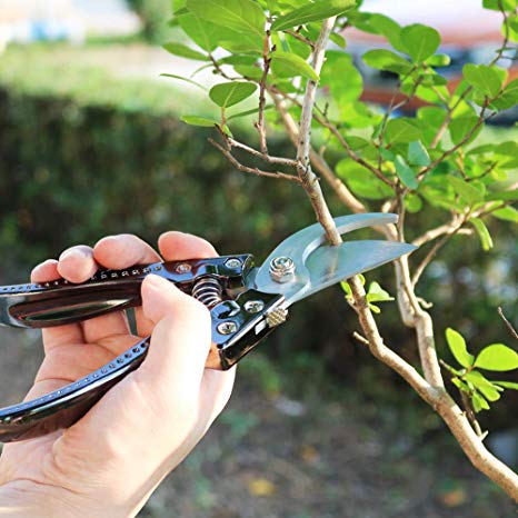 Tesinll Pruning Shears 3 Cutting Edge Fit for Garden Pruning Gardening Shears Clippers for Plants and Flowers Black Garden Scissors