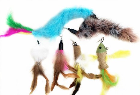 The Giddy Kitty 6 Piece Refill Pack - Our Most Popular Replacement Cat Feather Toys - Fun Teaser Feathers for Exercising Kitten or Cats - Why Keep Buying Wands?