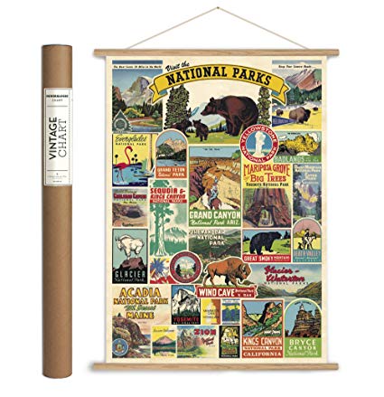 Cavallini Papers & Co., Inc. VPK/NP Caviling Vintage National Parks Hanging Poster Kit Vintage Wall Décor Multi