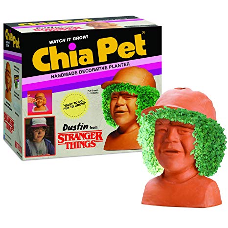 Chia Pet Stranger Things - Dustin Decorative Pottery Planter, Easy to Do and Fun to Grow, Novelty Gift, Perfect for Any Occasion