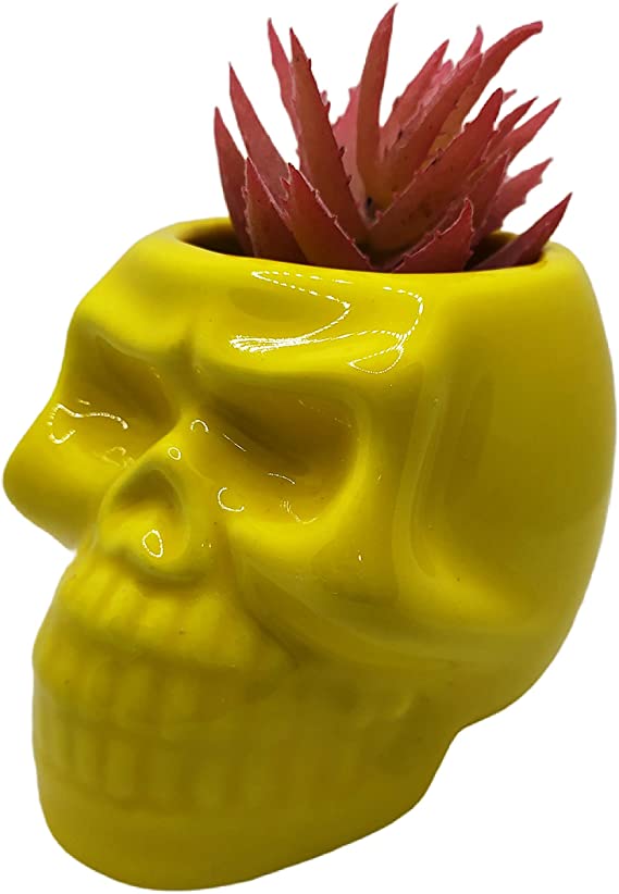 Cuteforyou Cute Skull Shaped Ceramic Succulent Grass Cactus Vase Flower Plant Pot (Plants Not Included) (Yellow)