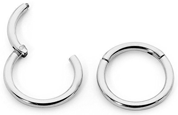 Stainless Steel 5/16" (8mm) Hinged Continuous Segment Ring Hoop Sleeper Earrings Body Piercing