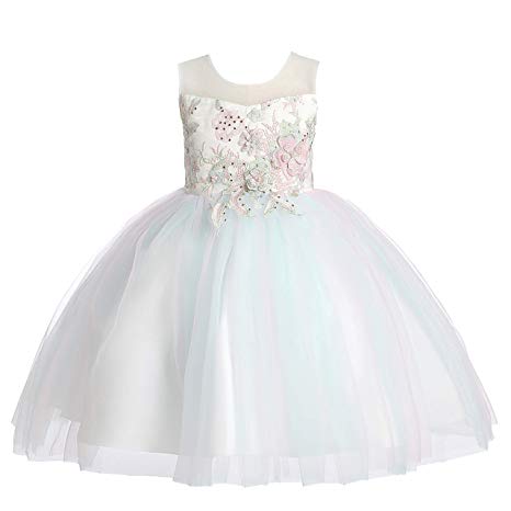 Weileenice 2-14T Girls Costume Cosplay Dress Kids Rainbow Tulle 3D Embroidery Beading Princess Dresses