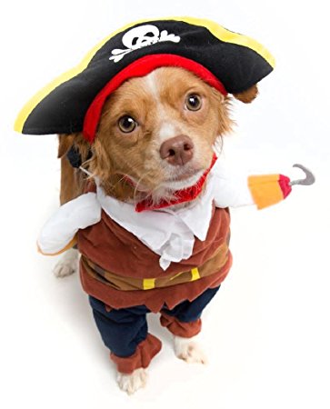 Pirate Dog Costume – Limited Edition