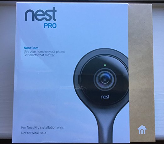 Nest Cam