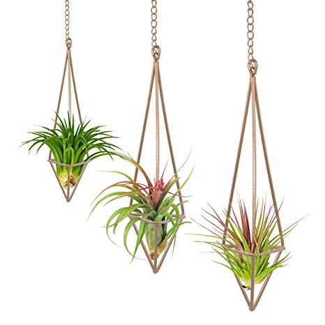 3 Pcs Rustic Style Hanging Triangle Pyramid Shape Metal Air Plants Rack Holder with Chains for Tillandsia Airplants Display