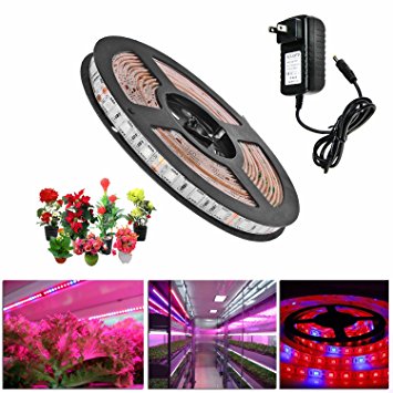Topled Light LED Plant Grow Strip Light with Power Adapter,Full Spectrum SMD 5050 Red Blue 4:1 Rope Light for Aquarium Greenhouse Hydroponic Pant Garden Flowers Veg Grow Light (1M)