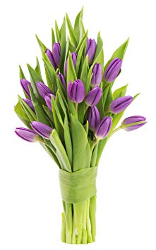 Blooms2Door 20 Purple Tulips (Farm-Fresh Flowers, Cut-to-Order, and Homegrown in the USA)