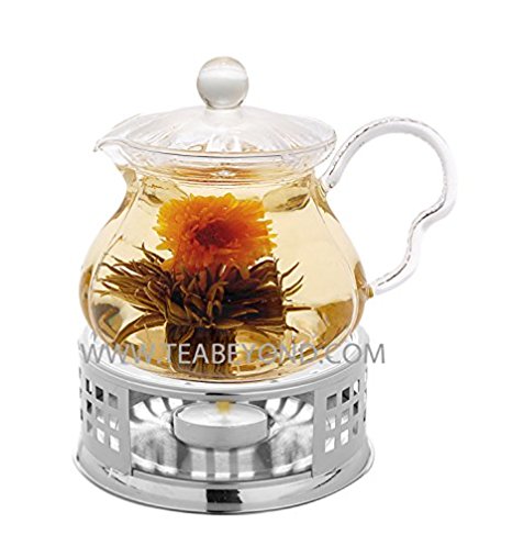 Tea Beyond Glass Teapot Fairy 20 oz with Stainless Steel Tea Warmer Alex No Drop At The Spout Special Lead Free Glass