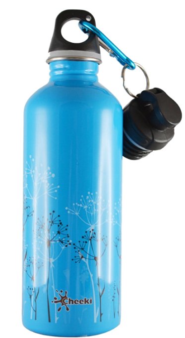 Cheeki 500ml 17oz Stainless Steel Water Bottle - Wildgrass Blue - BPA Free