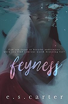 Feyness (The Red Order Book 1)