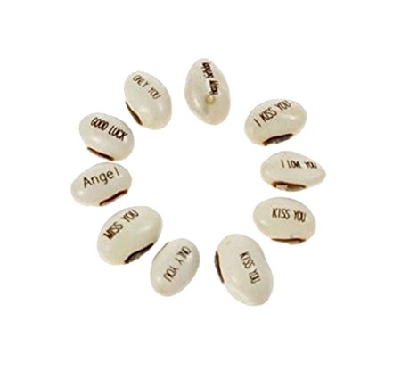 DIY Magic Bean Seed Plant Love Gift Growing Message Word I Love YOU (pack of 20)