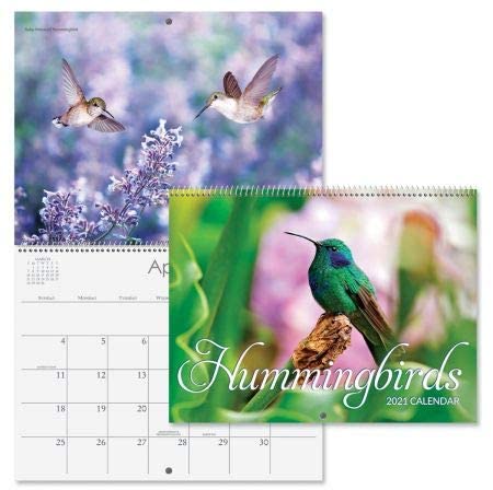 2021 Hummingbirds Wall Calendar - 12" x 9" (Closed), Bookstore Quality, Spiral Bound