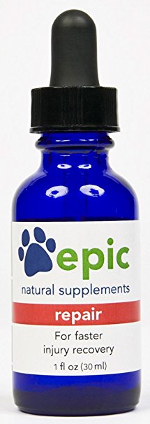 Repair Best Selling Natural Electrolyte Odorless Pet Supplement for Faster Injury and Illness Recovery