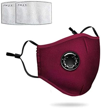 1 Pack PM 2.5 Anti Pollution Masks with 2 Air Filter Cotton Sheet Washable Reusable N95 Anti Dust Smoke Face Mask Respirator with Adjustable Straps (Red)