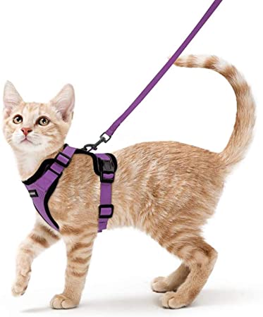 rabbitgoo Cat Harness and Leash for Walking, Escape Proof Soft Adjustable Vest Harnesses for Small Medium Cats, Easy Control Breathable Reflective Strips Jacket, S, Purple