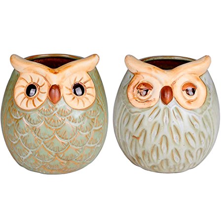 Supla 2 Pcs Ceramic Pot Retro Planter 3.93 inch Cute Owl Pot Succulents Nursery Floral Pot Water Plant Pots