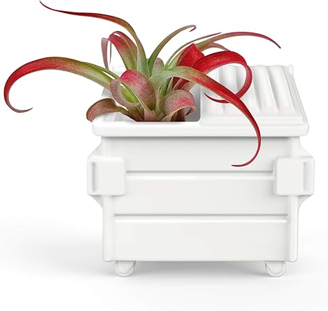 Genuine Fred Fancy Plants Air Plant Holder, Dumpster (5280962)