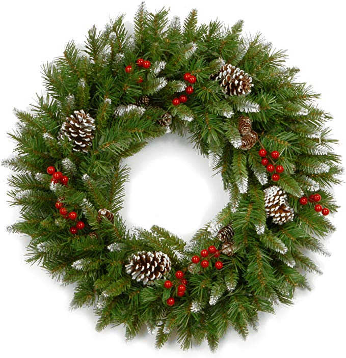 National Tree 24 Inch Frosted Berry Wreath with Red Berries and Cones (FRB-24W-1)