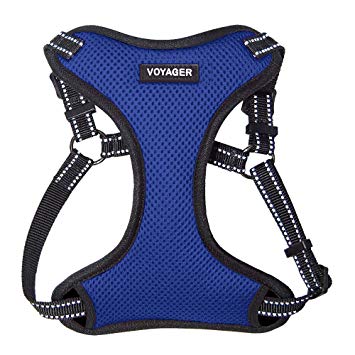 Voyager by Best Pet Supplies - Fully Adjustable Step-in Mesh Harness with Reflective 3M Piping