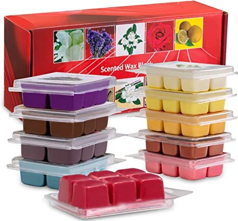 Onebird Scented Wax Melts -Set of 10 (2.5 oz) Assorted Wax Warmer Cubes/Tarts - Vanilla, Bergamot, Rosemary, Apple, Gardenia,Lemon, Lavender, Lilac, Rose, Jasmine