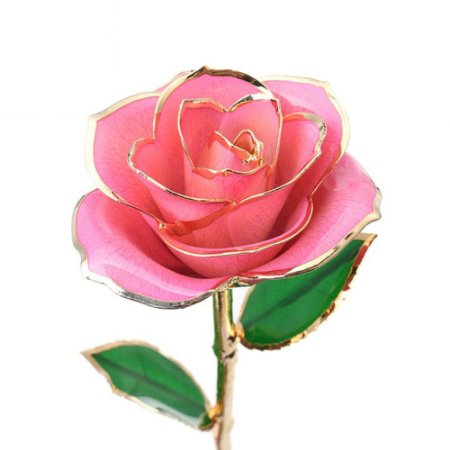 24 K Gold Foil Trim Long Stem Rose Last Forever Best Gift for Valentine's Day, Mother's Day,anniversary, Birthday Gift (Pink)
