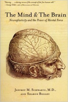 The Mind and the Brain: Neuroplasticity and the Power of Mental Force