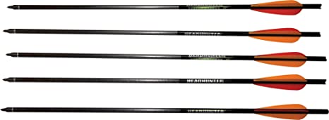 Barnett Crossbows 5 Pack of 22" Arrows w/ /Field Point (Outdoors / Crossbows and other Archery Equipment)