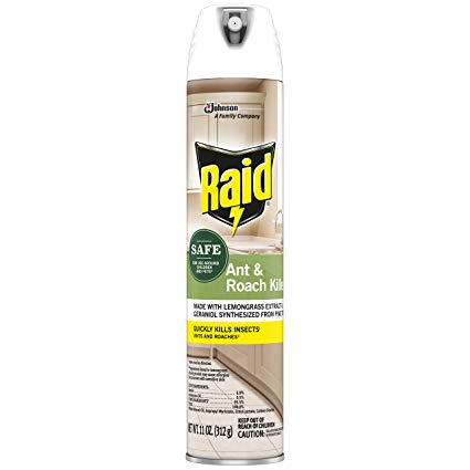 Raid Ant and Roach Killer, 11 OZ (Pack - 1)