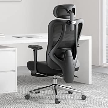 Hbada E1C Ergonomic Office Chair, Rotating Up/Down Lumbar Support, Large Angle Tilt Back, 2D Adjustable Armrests & Headrest, Mesh Computer Desk Chair with Footrest, Black