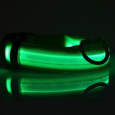 Gabeky Design Super Bright Nylon LED Dog Night Safety Collar Flashing Light up W circular Pendant Ring (Green, S)