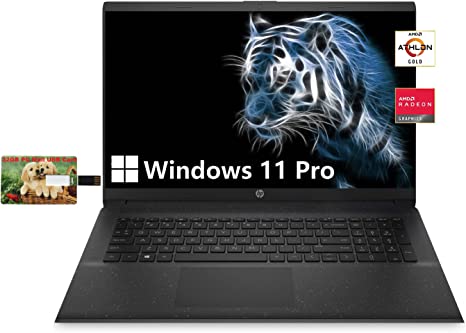 HP Business Laptop, 17.3" HD Anti-Glare Screen, AMD Athlon Gold 3150U Processor, Windows 11 Pro, 16GB RAM, 1TB SSD, WiFi, Type-C, HDMI, Numeric Keypad, Long Battery Life, Jet Black, PC Mall USB Card