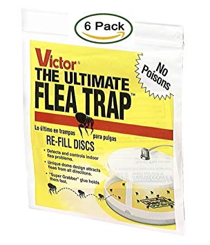 Victor M231 Ultimate Flea Trap Refills, (2 Pack of 3 traps)