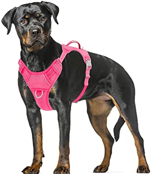 BARKBAY No Pull Dog Harness Large Step in Reflective Dog Harness with Front Clip and Easy Control Handle for Walking Training Running with ID tag Pocket