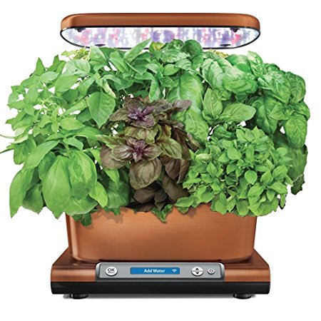 AeroGarden Harvest Elite Wi-Fi with International Basil Seed Kit, Copper Stainless Steel