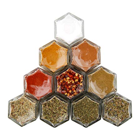 HOUSEWARMING | Ten Organic Pantry Seasonings in Gneiss Spice Small Magnetic Jars for Fridge | New Home Gift Set (10 Jars, Silver Lids)