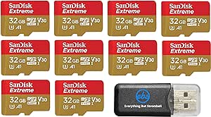 32GB SanDisk Extreme (Ten Pack) 4K Micro Memory Card (SDSQXAF-032G-GN6MN) UHD Video Speed 30 UHS-1 V30 32G MicroSD HC Bundle with Everything But Stromboli Card Reader