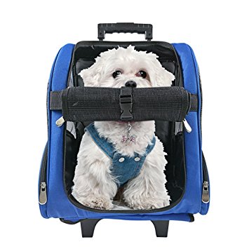 HARBO Pet Travel Carrier Rolling Backpack for Dogs Cats Small Animals Airline Travel Tote (Red, Blue)