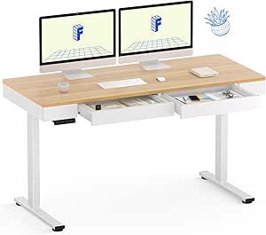 FLEXISPOT Q5 Standing Desk with Double Drawers, 55 x 24 Inch Electric Adjustable Height Stand Up Desk with Storage Organizer, Whole Piece Wooden Desktop for Home, Office, Computer Workstation, Maple