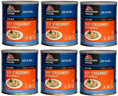 Mountain House Beef Stroganoff #10 Can Freeze Dried Food - 6 CANS per Case NEW!