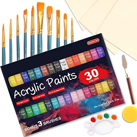 46 Pack Acrylic Paint Set, Shuttle Art 30 Colors Acrylic Paint with 10 Paint Brushes 3 Painting Canvas 1 Paint Knife Palette Sponge, Complete Gift Set for Kids, Adults Painting Canvas, Wood, Ceramic