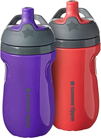 Tommee Tippee Insulated Sportee Toddler Water Bottle with Handle — 12m , 2 Count (Pack of 1)