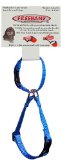 Freehand Safety Strap Made From 38s Webbing for Smaller Dogs