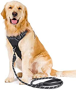 rabbitgoo No-Pull Dog Harness Leash Set Heavy Duty Halter Harness with Leash for Large Dogs 3M Reflective Adjustable Pet Vest Harness Outdoor Training Leash, Medium, Black