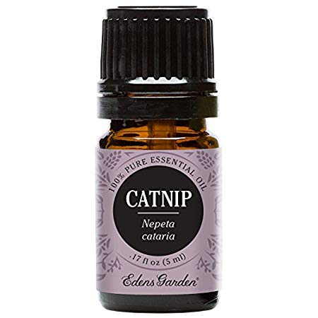 Edens Garden Catnip Essential Oil, 100% Pure Therapeutic Grade (Highest Quality Aromatherapy Oils- Headaches & Sleep), 5 ml