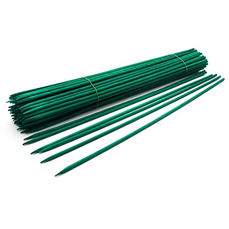 Royal Imports 24" Green Wood Plant Stake, Floral Picks, Wooden Sign Posting Garden Sticks (100 Pcs)